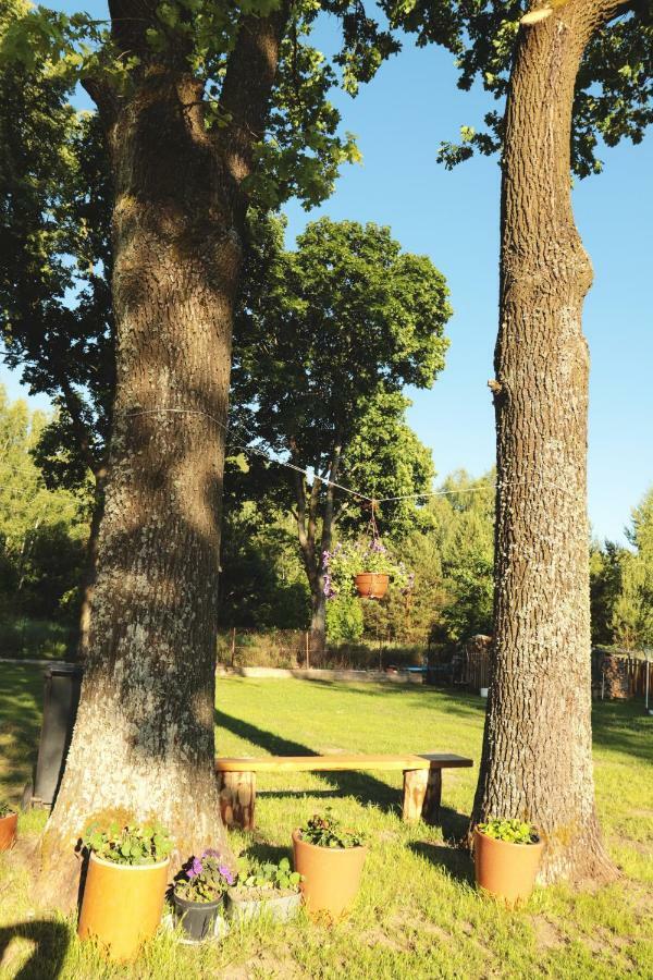 Pod Debami - Pokoje Na Mazurach Villa Wydminy Luaran gambar