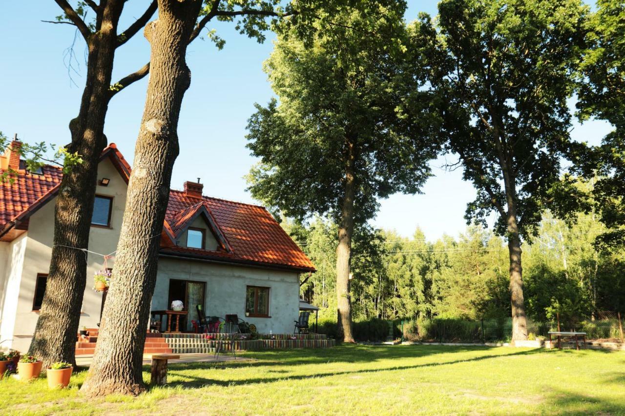 Pod Debami - Pokoje Na Mazurach Villa Wydminy Luaran gambar